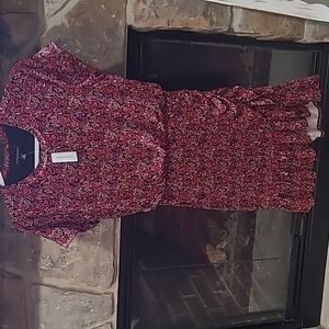 NWT Banana Republic Dress Size XS